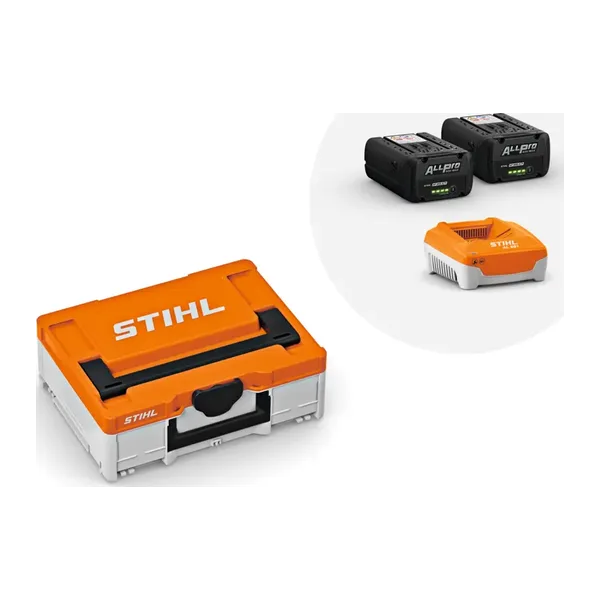 Power Box S avec 2x batterie AP 300.0 P et chargeur AL 501